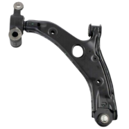 Lower Control Arm (Passenger Side / Rear)